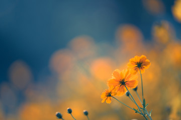 台州两日游哪里好台州一日游哪里好