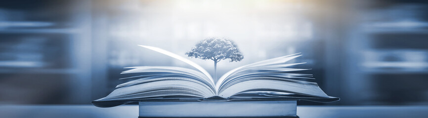 台州两日游哪里好台州一日游哪里好