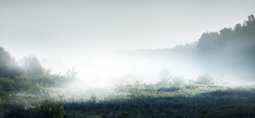 公积金缴纳基数和工资有关系吗