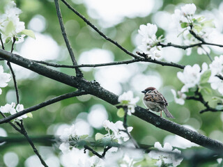 婚礼通知朋友圈怎么写