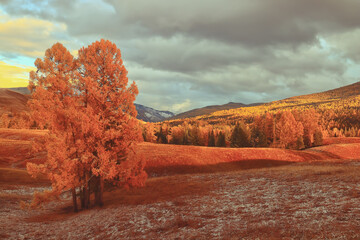 公积金缴纳基数和工资有关系吗