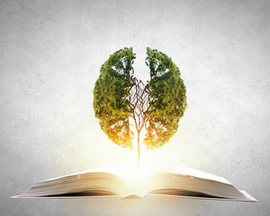 楚留香平民选择哪个职业好？