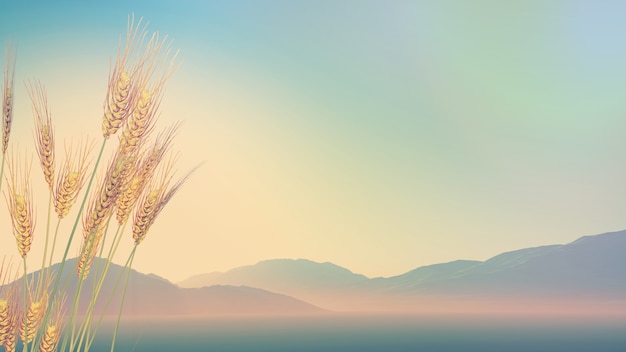 本命年生日快乐祝福语