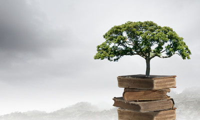 电子商务的产生和发展经历了哪几个阶段