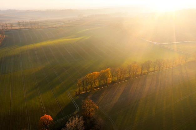 沉木放在鱼缸里水发黄怎么办