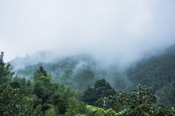 公积金缴纳基数和工资有关系吗